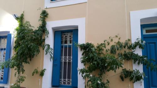 Albatros – Ano Symi, AZ