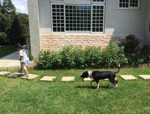 凤姊庄园民宿  凤姊庄园民宿