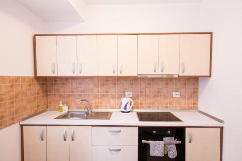 Sunny Old Town Apartment Brasov - image 2