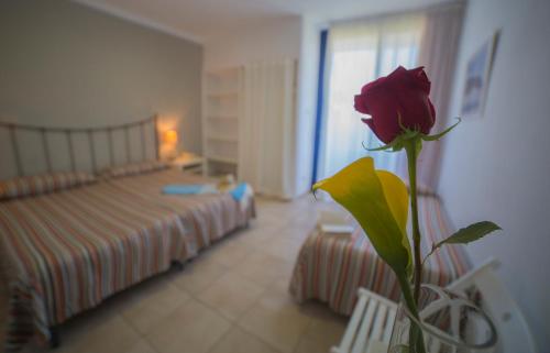 Casa Del Mar Hotel & Apartaments - image 3