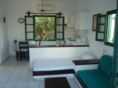 One-Bedroom Apartment image 8