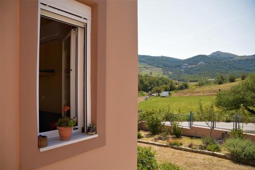 Casa Verde Houses