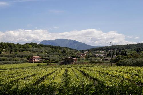 Agriturismo La Rocca - image 5