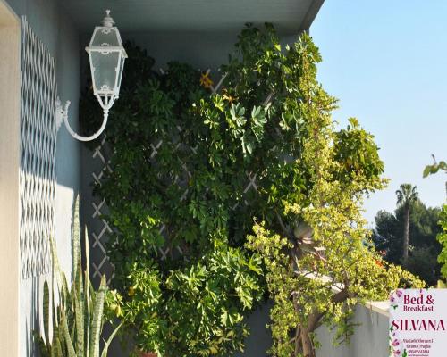 Bed and Breakfast Silvana 4