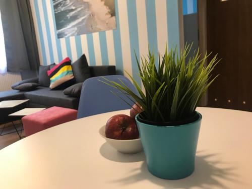 Apartamenty pod Modrzewiem Apartamenty pod Modrzewiem