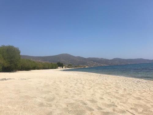  Karystos Muse in Karystos
