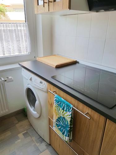 Apartment Regina, Norimberga (foto 11)