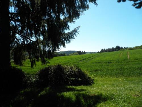 Blick in die Südeifel, Biersdorf (foto 6)