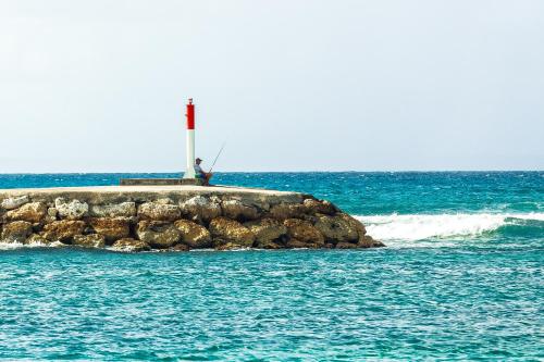 Butterfly Hostel in 세인트 프란코이스