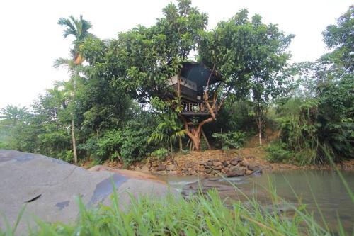 Abe tree house