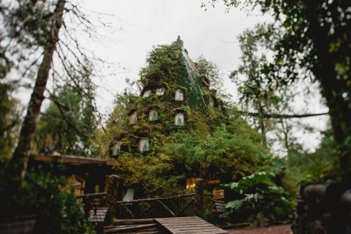 Montaña Mágica Lodge