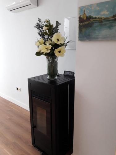 Penthouse Apartment image 6