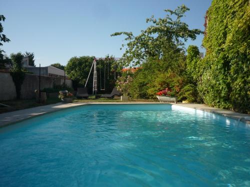 La Vigne Vierge 3