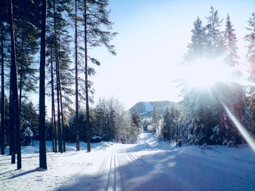 Sport és szabadidő, Vasa Ski Lodge in Mora