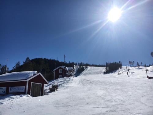 Sport és szabadidő, Vasa Ski Lodge in Mora