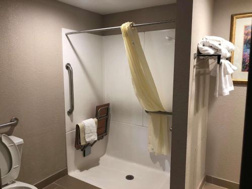 King Room with Roll-In Shower - Disability Access/Non-Smoking