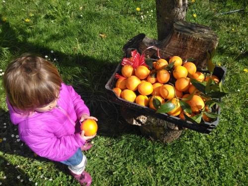 Agroturismo La Casona de Belmonte