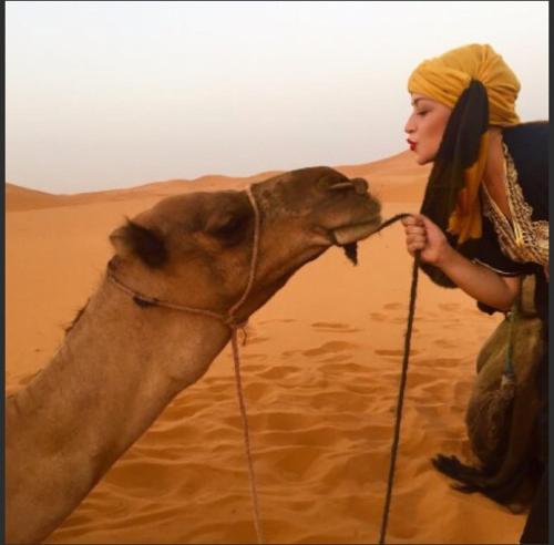 berber & camel trek