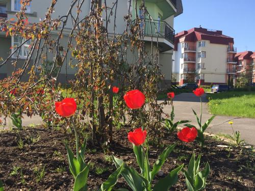 NewStory - image 5
