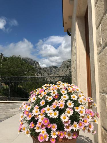 Apartments Paklenica – Starigrad-Paklenica, VA