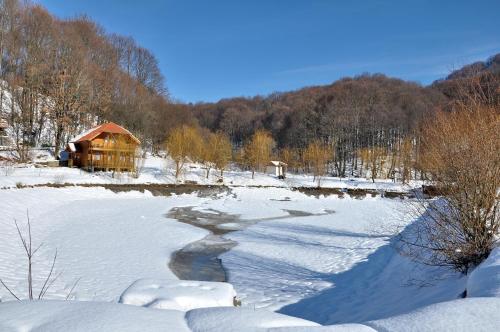 Sanatoriy Karpatia - image 3