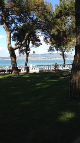 Tatyana Guest House - image 2