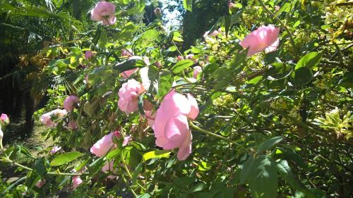 Résidence du Château