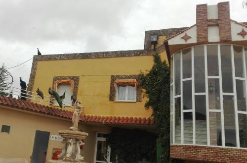 Arcojalon