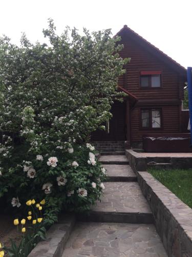 Liubava, Poljana (Foto 6)