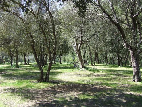 Camping Alivetu photo 19