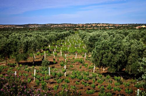 Le Domaine du Val d'Argan