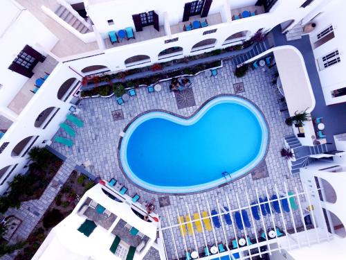 New Haroula - image 7