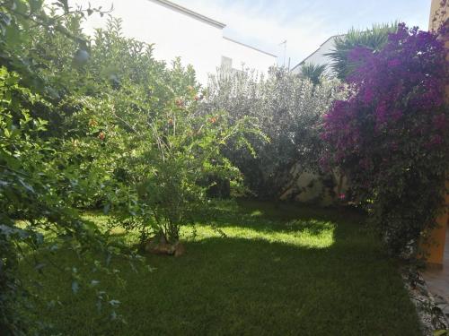 Attico Le Fleur - Il mare, Gallipoli ed il Salento a portata di mano