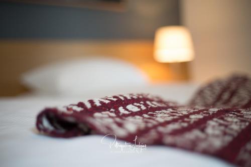 Piltriquitron Lodging