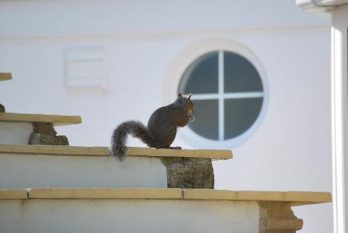 The Lodge, Polgooth The Lodge, Polgooth