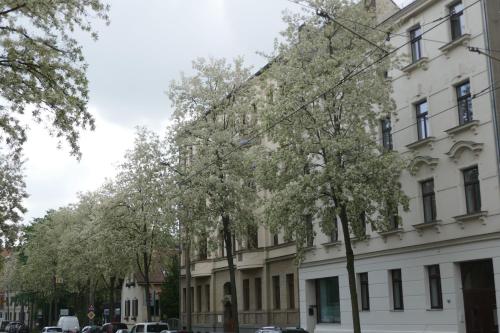 Leipzig-in, Leipzig (photo 7)