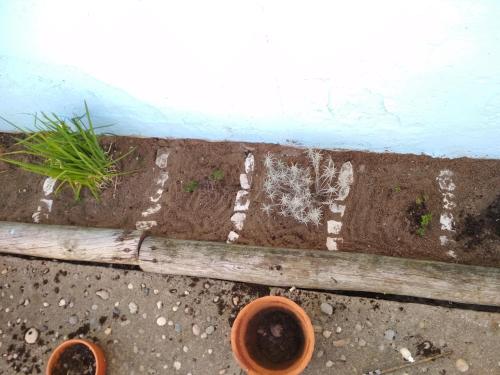  Hostel4 in Foz do Arelho