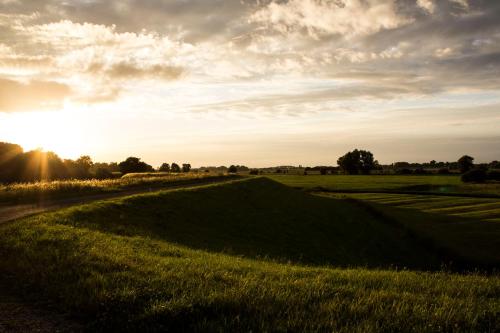 Surrounding environment, Bed and Breakfast Maas en Waal in Winssen