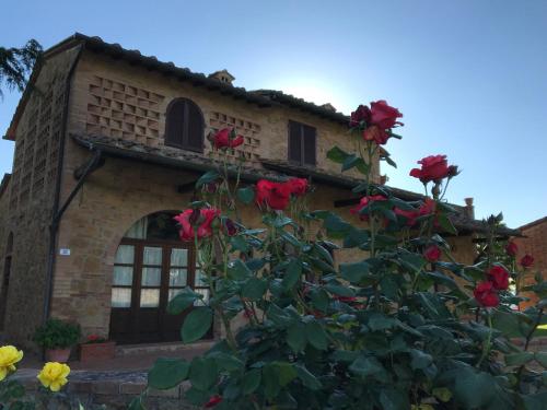 B&B Montaione - La Casina Sonia - Bed and Breakfast Montaione