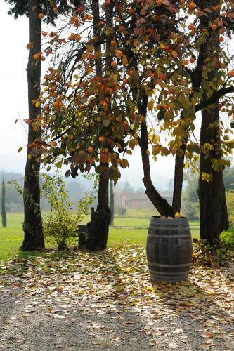 Relais Del Lago - image 13
