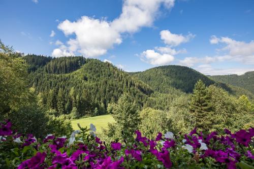 Gasthof Gasserhof