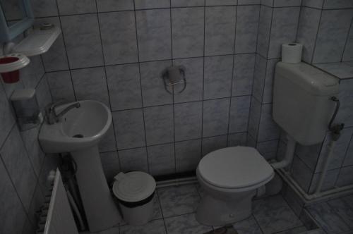Casuta de langa padure