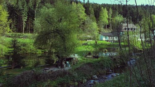 Gut Lauterbad Hotel