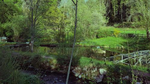 Gut Lauterbad Hotel