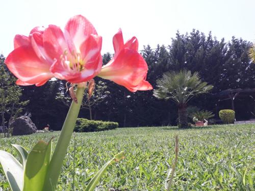 Villa Oneiro, Kanali (fotografie 8)