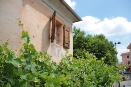  Alla vigna in Bassano del Grappa
