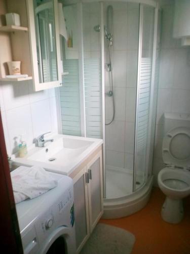 Apartments by the sea Krusevo Novigrad - 15408 - image 2