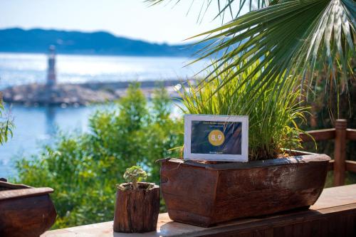 Sea View Hotel - image 3
