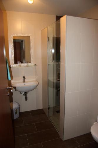 Pension Merkinger - image 7