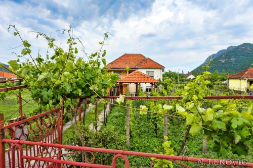 Вход, Guesthouse Bato in Godinje